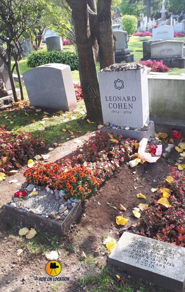 Cohen Grave