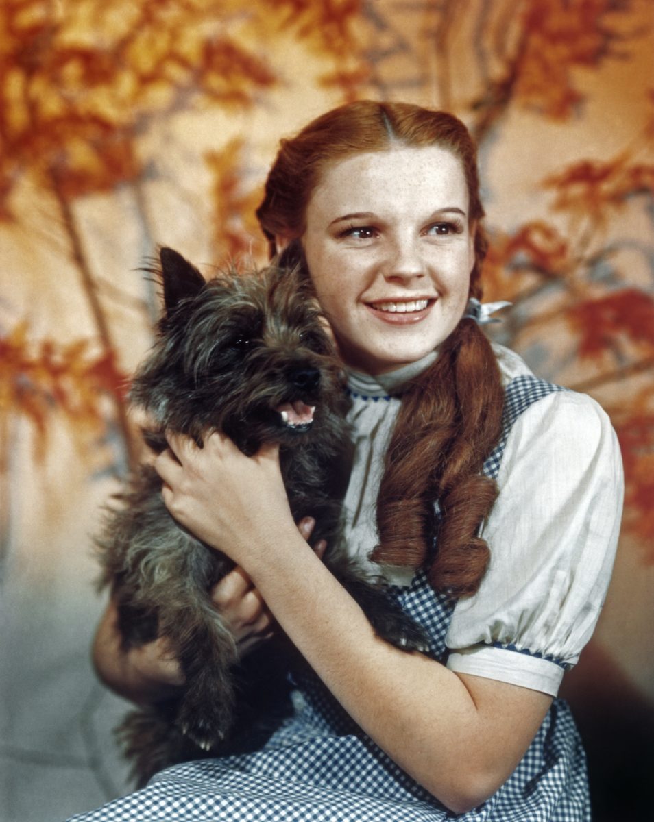 Judy Garland and Toto