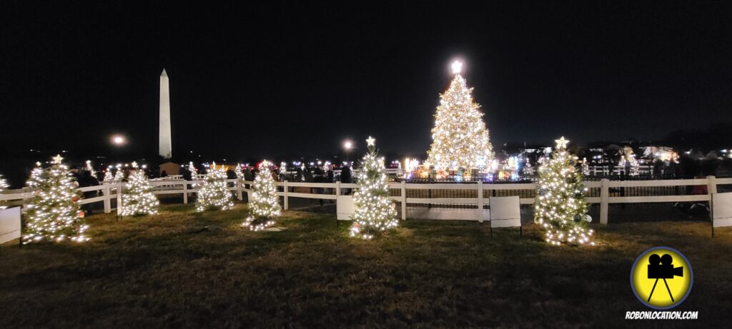 The National Christmas Tree in Washington DC