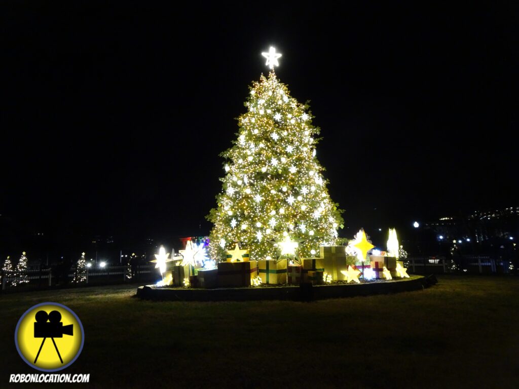 The National Christmas Tree in Washington DC